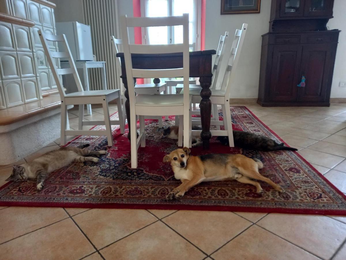 B&B Isoladelsole Perledo Zewnętrze zdjęcie