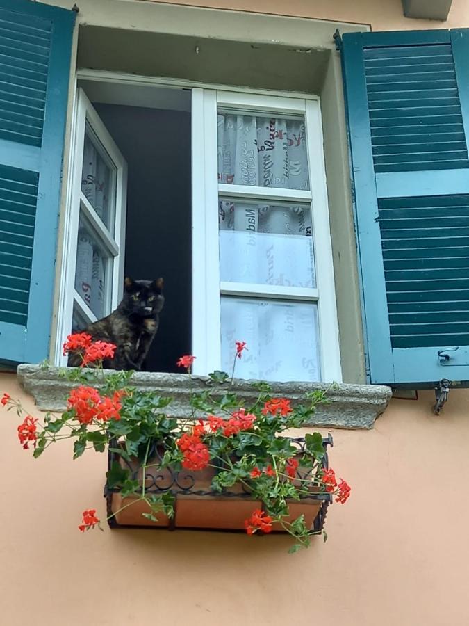 B&B Isoladelsole Perledo Zewnętrze zdjęcie